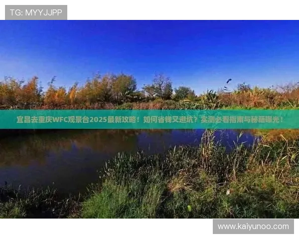 开云体育会不会黑钱 彩票高频玩法防骗避坑指南